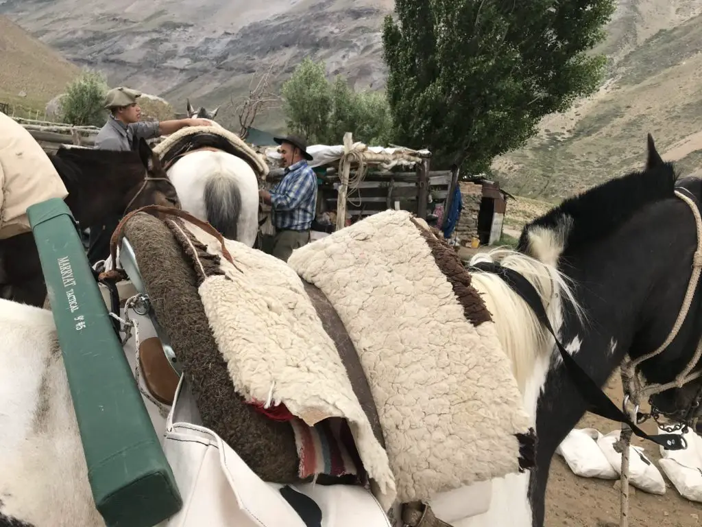 canne à mouche accroché sur un cheval de gaucho en argentine
