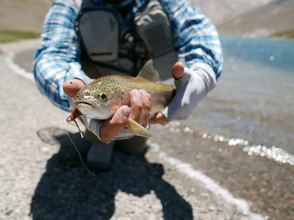 Kunda, une autre réalité de la pêche à la mouche