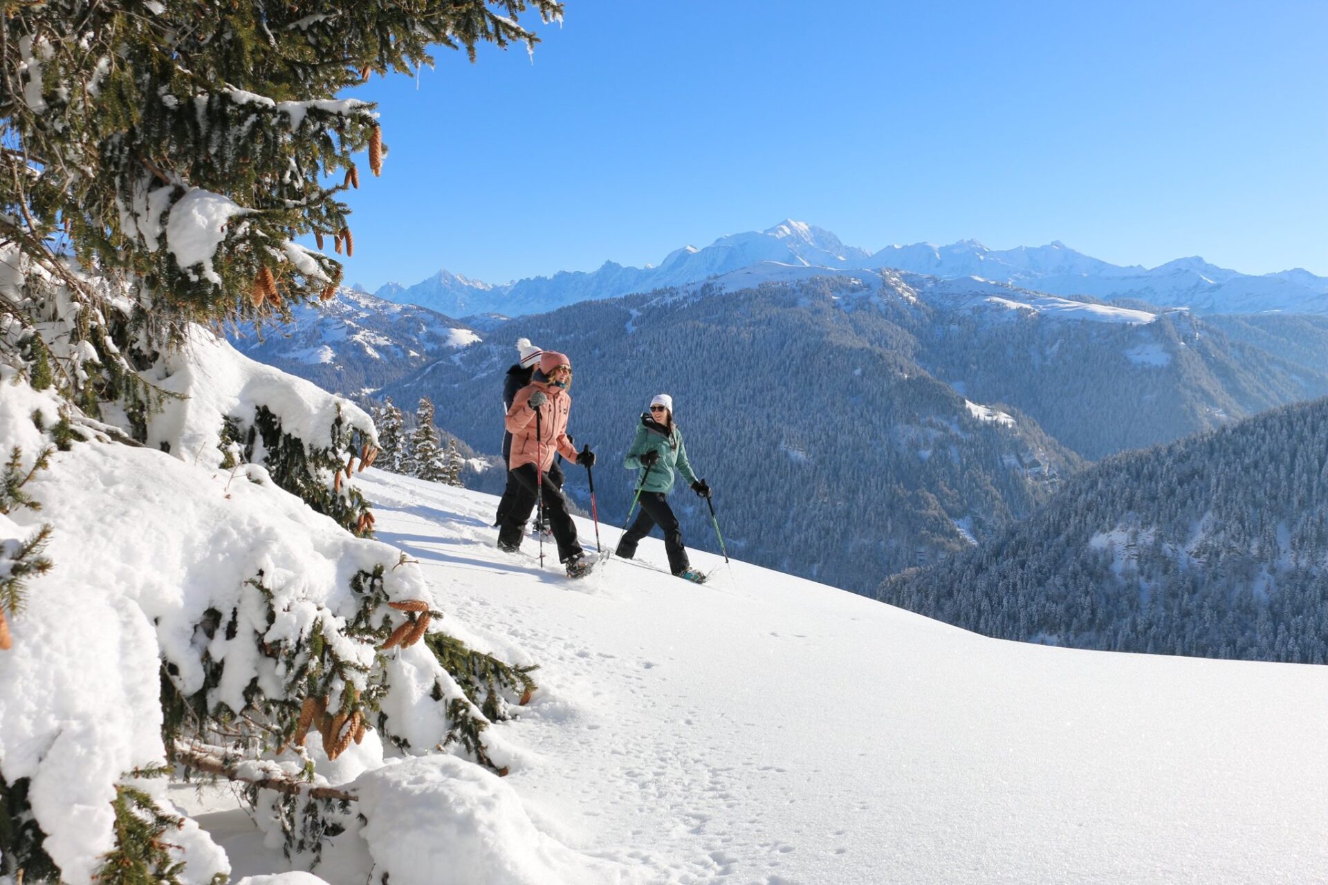 Ou Faire Des Raquettes à Neige Dans Le Champsaur Valgaudemar 