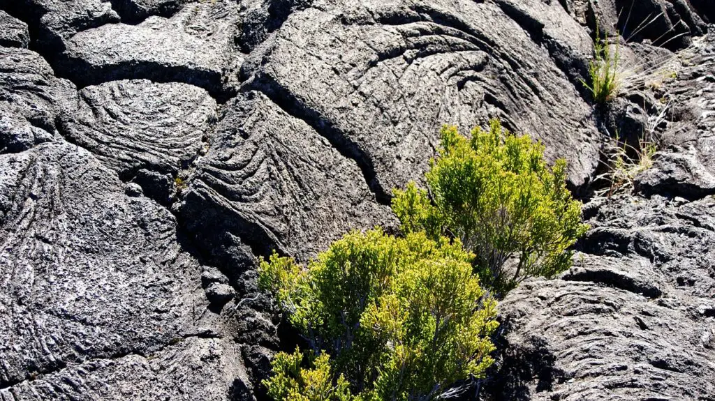 Coulées de lave, Piton de la Fournaise