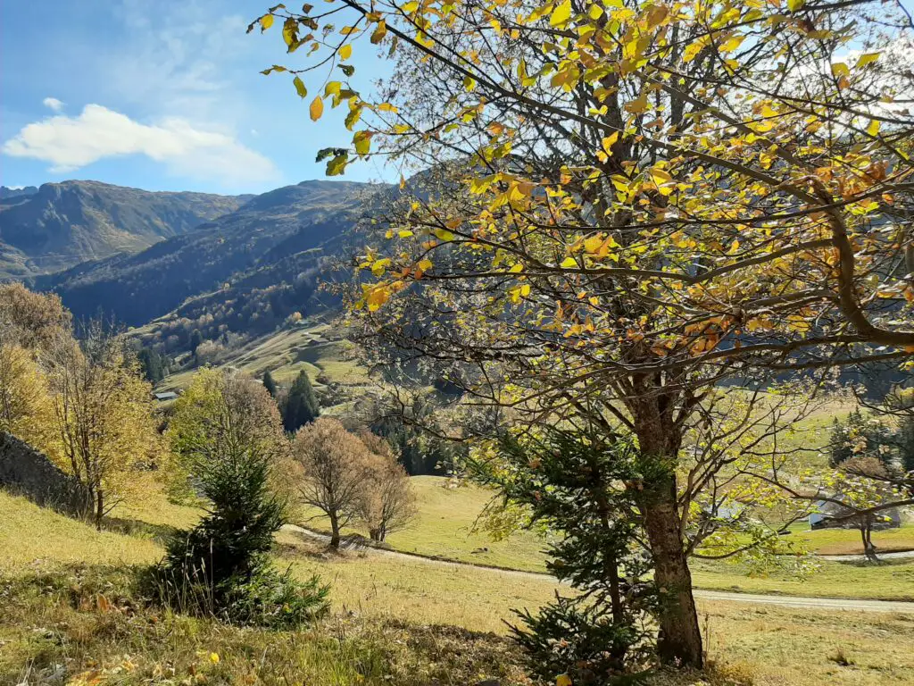 Haumeau de Colombe-tour du Beaufortain