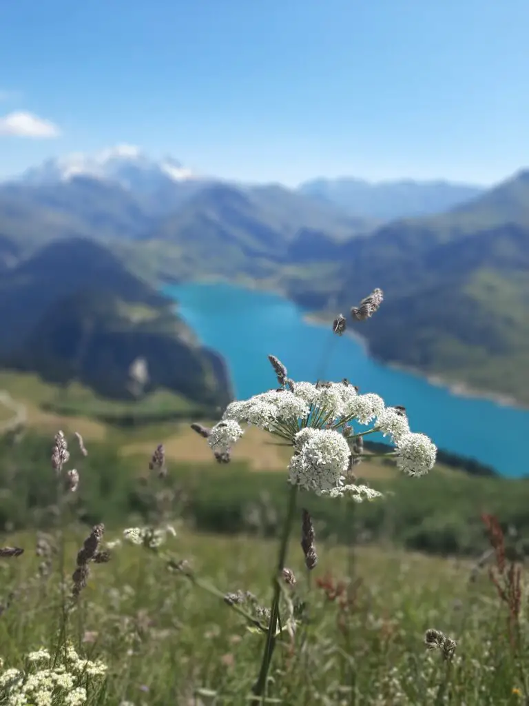 Lac de Roselend Beaufortain