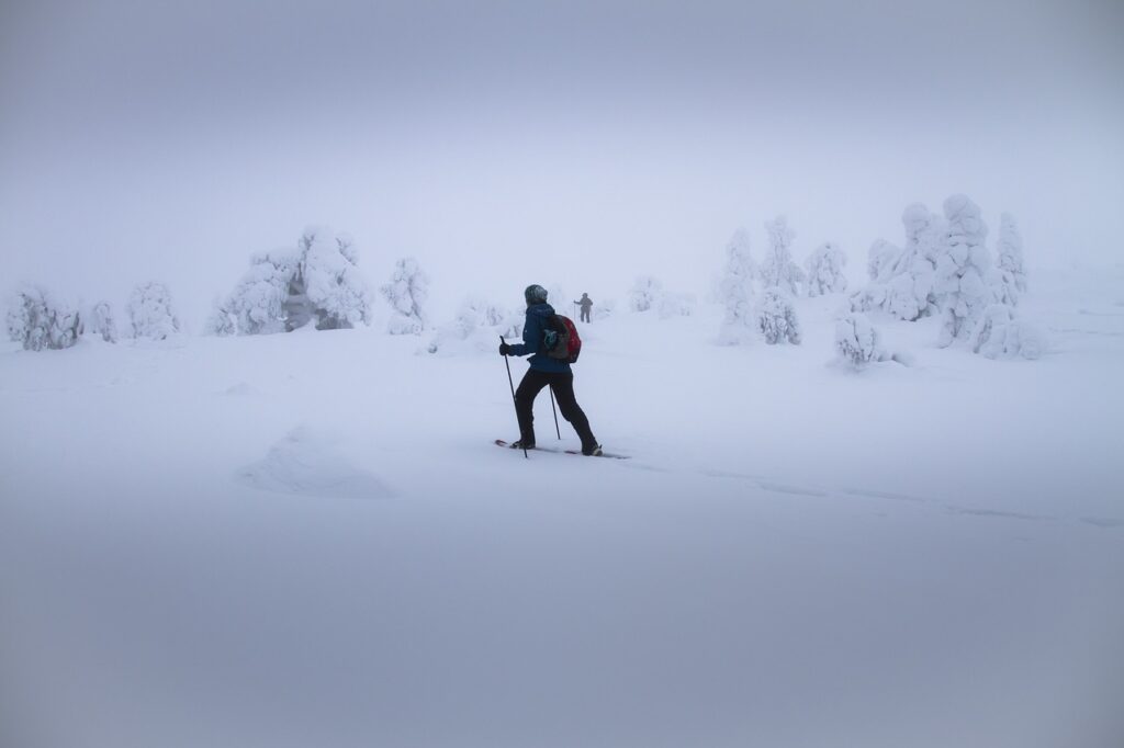 Raquette à neige