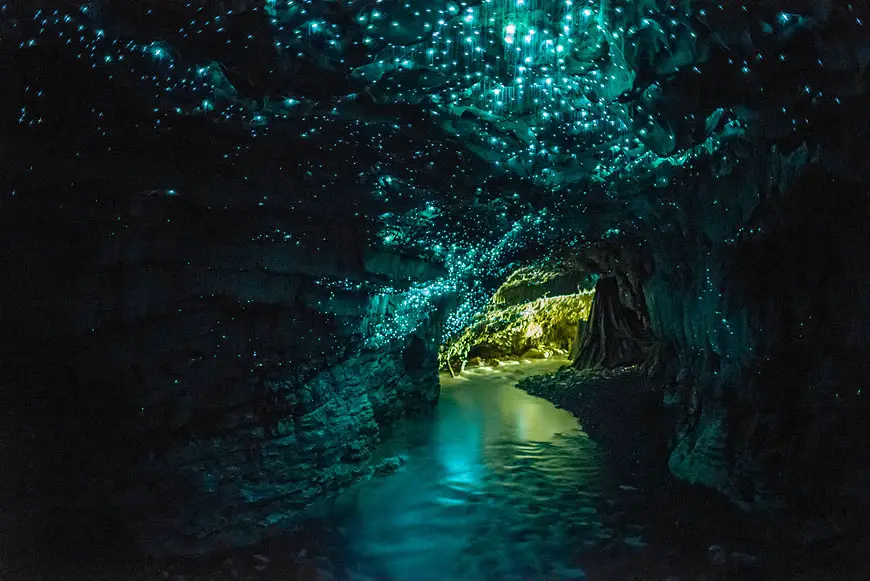 glowworms caves Nouvelle-Zélande