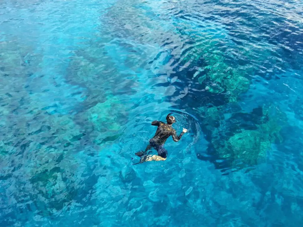 Snorkeling activité nautique Nouvelle Zélande