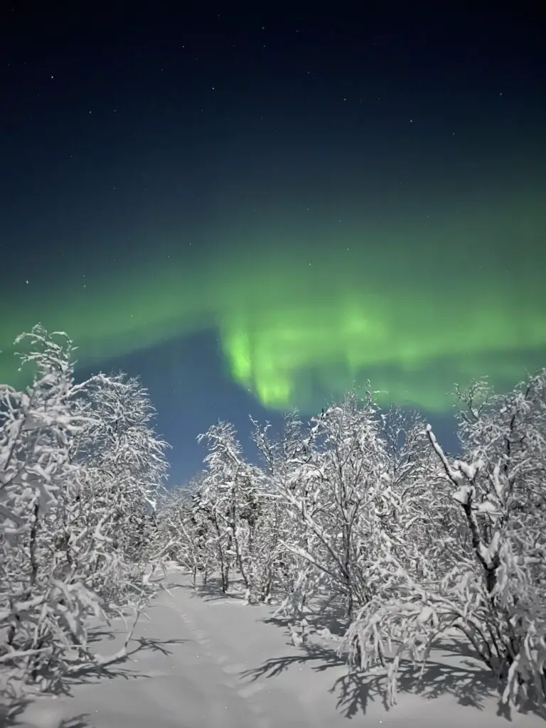 Chasse aux aurores boréales en laponie suédoise près de kiruna