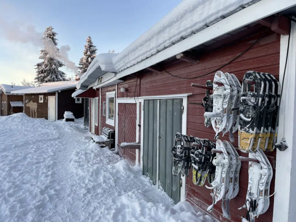 sortie raquettes à neige avec kiruna husky en laponie suédoise