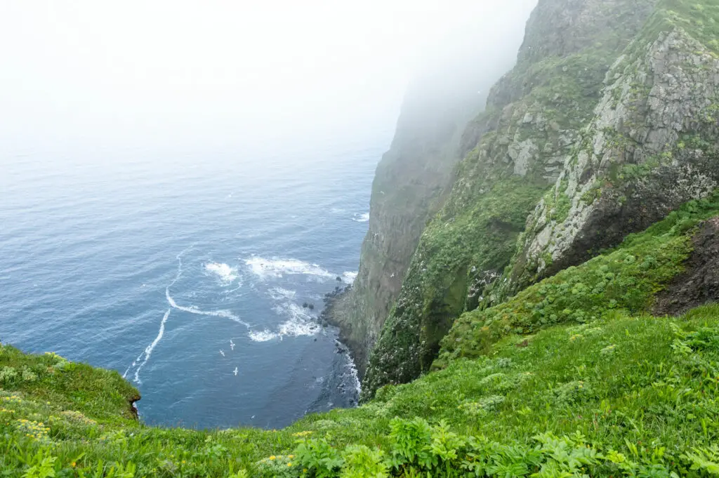 Les falaises de Hornvik lors de d'un trek à Hornstrandir