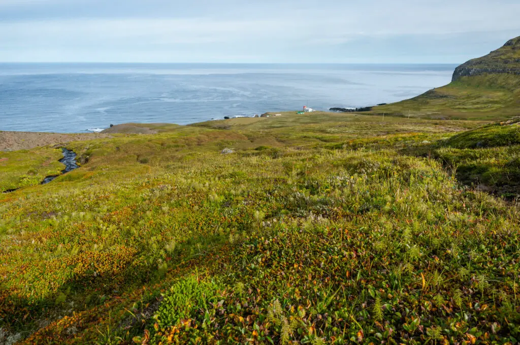 Le phare de Hornbjargsviti au loin