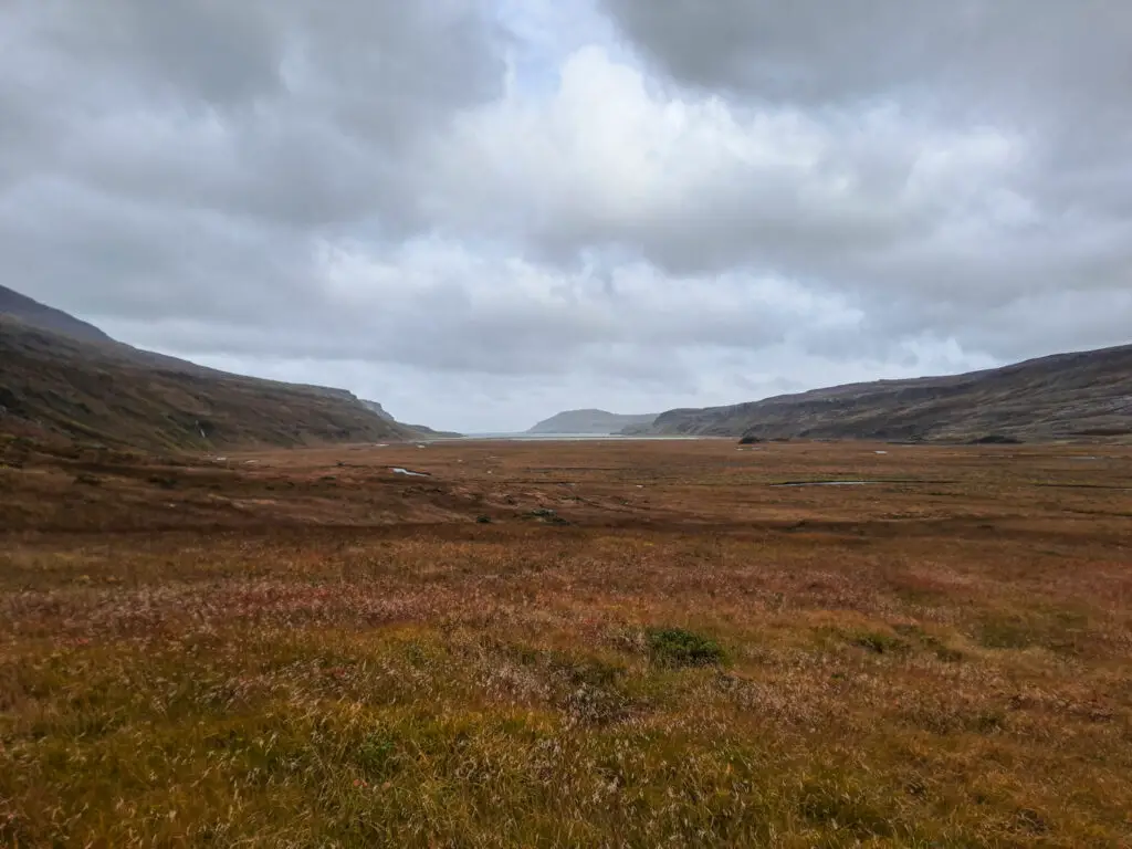 Marécages lors d'un trek à Hornstrandir