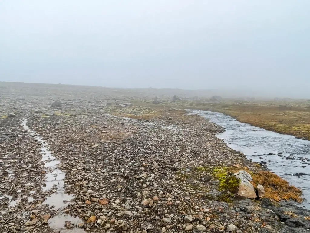 les sols gorgé d'eau durant ce trek à Hornstrandir