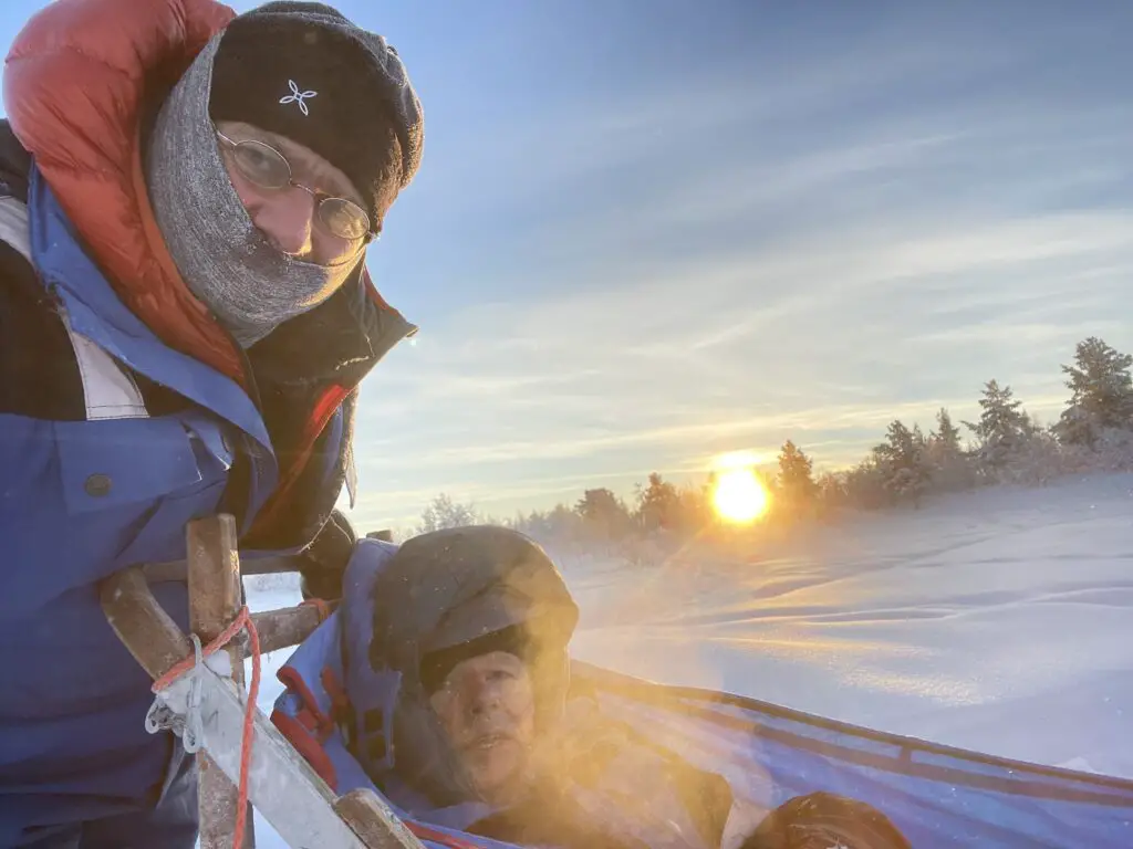 chien de traineau à kiruna en laponie suédoise