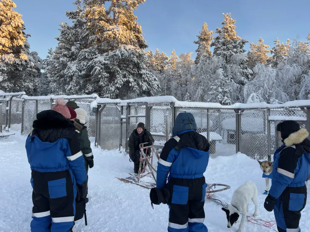 Explications avant de monter sur un traineau tracté par des chiens