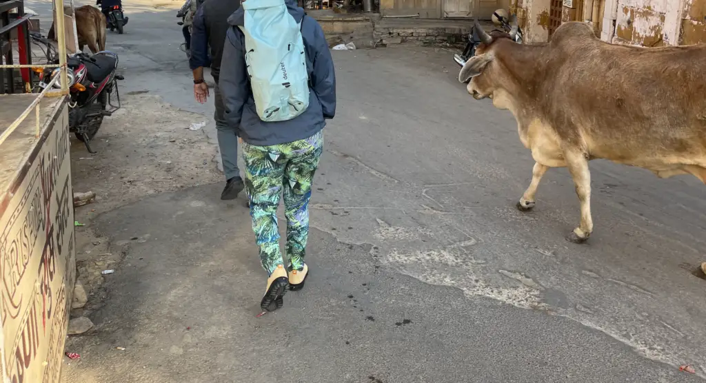 Sac à dos Deuter Compagnon de Voyage en Inde