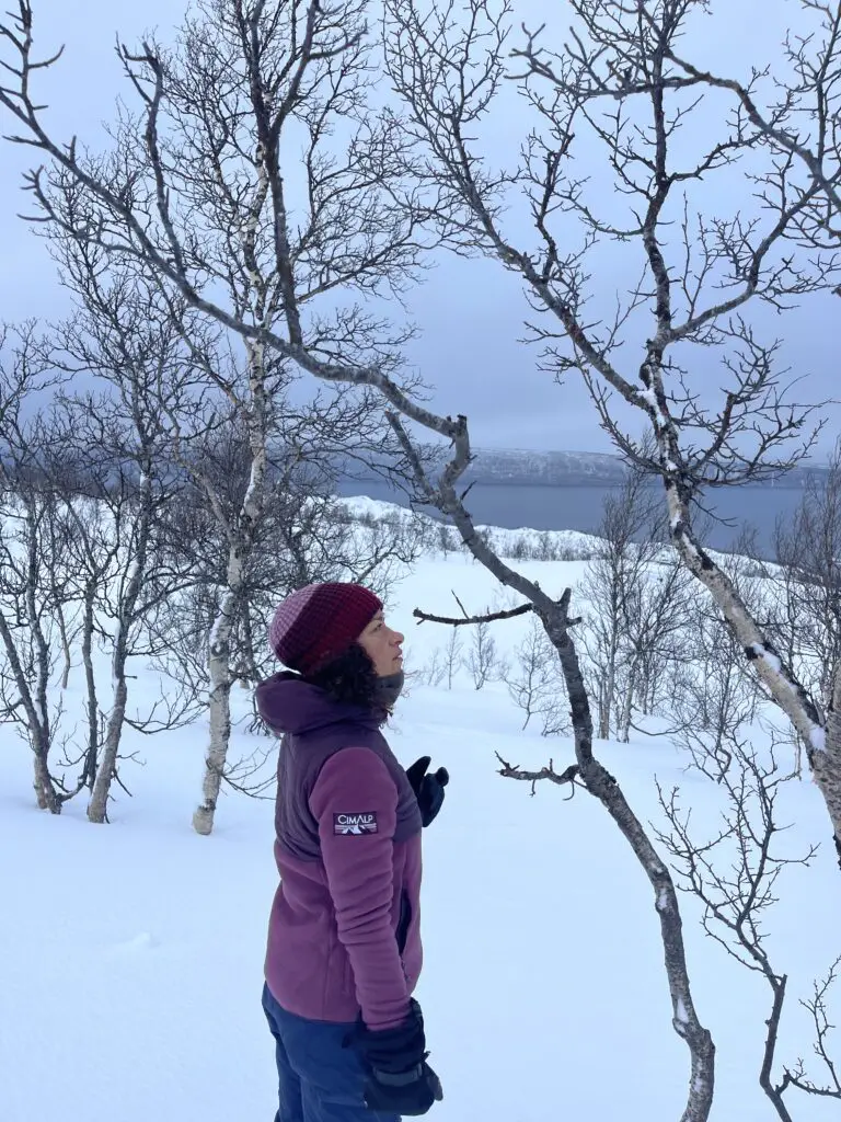 Randonnée dans la neige en Norvège au dessus de Narvik