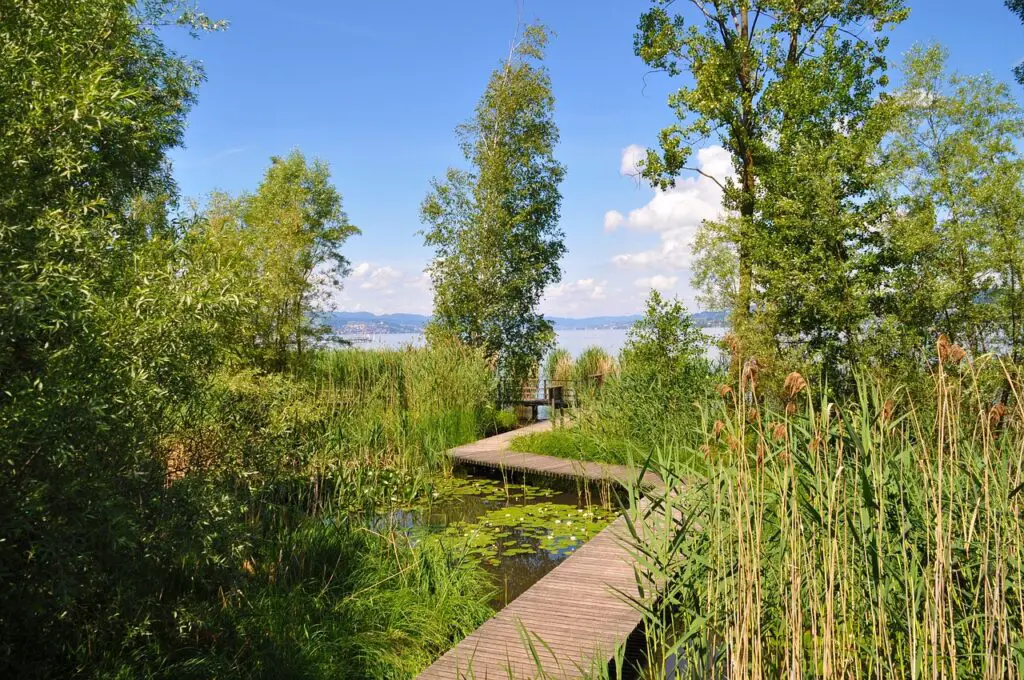 balade autour d’un lac préservé à zurich