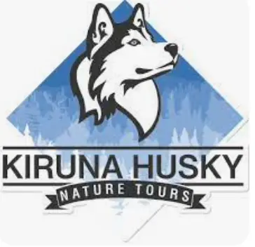 Kiruna Husky propose des circuits chien de traineau et motoneige près de kiruna