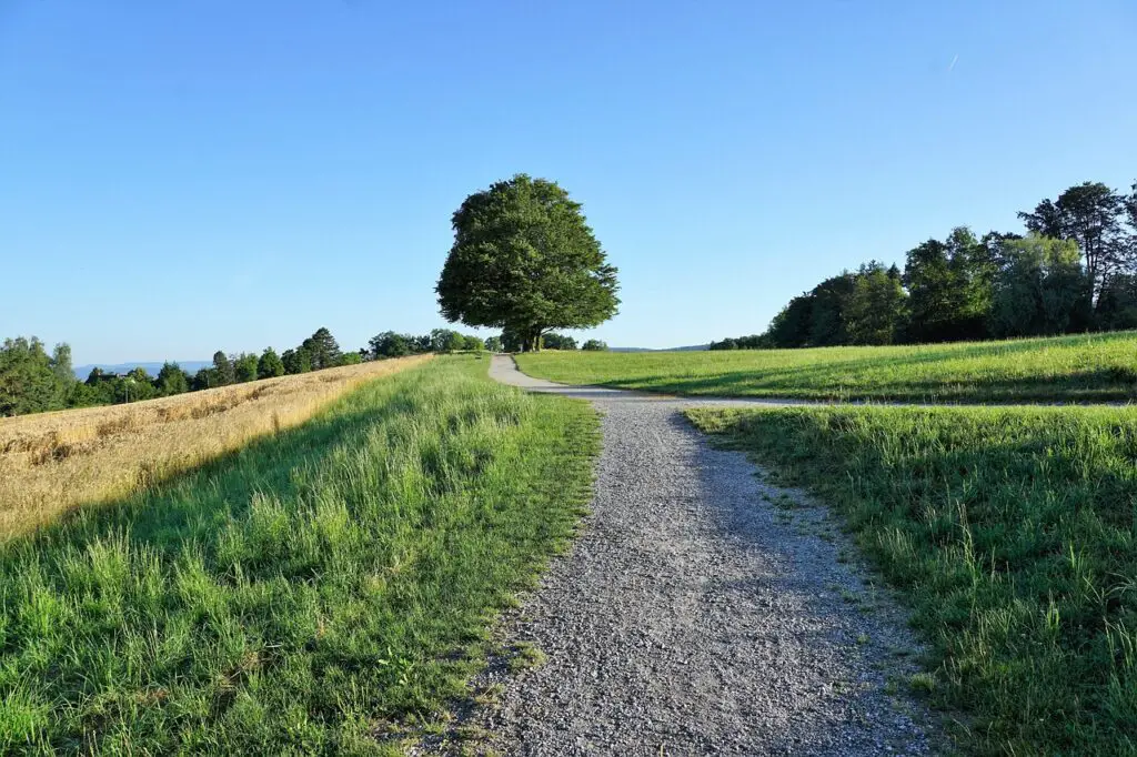 Randonnées autour de Zurich