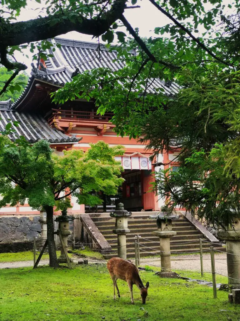 Un cerf devant un temple à Nara, Japon