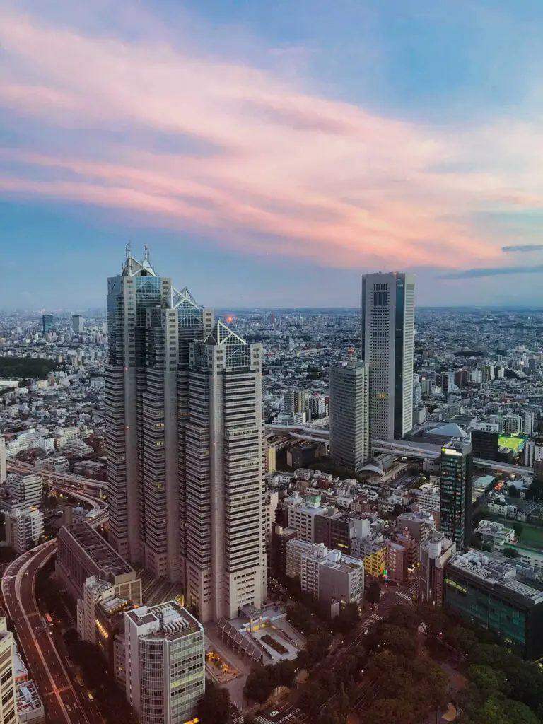 Panorama depuis le Tokyo Metropolitan Government