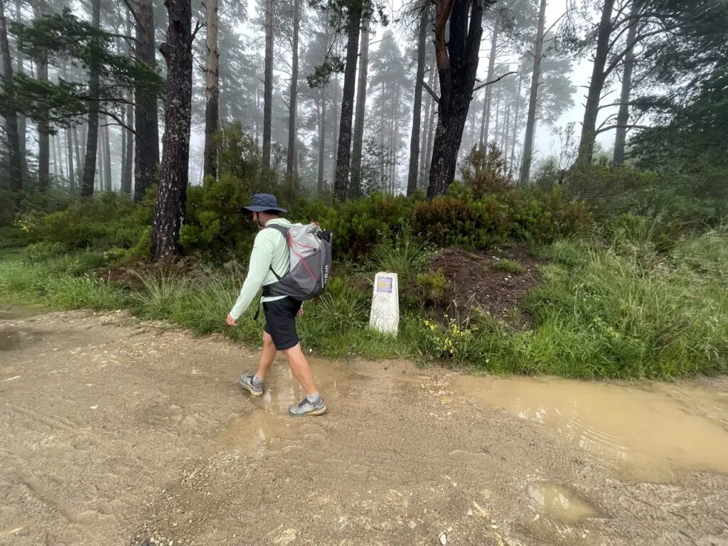 Chaussure Spark S de tecnica sur el camino del norte