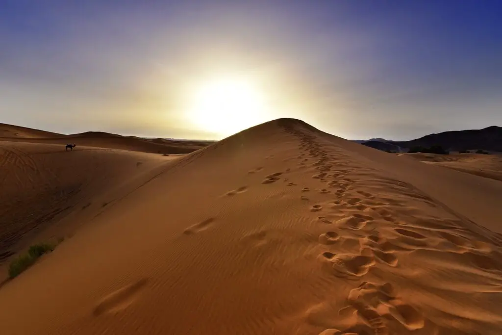 Eclore dans le désert un voyage au Maroc