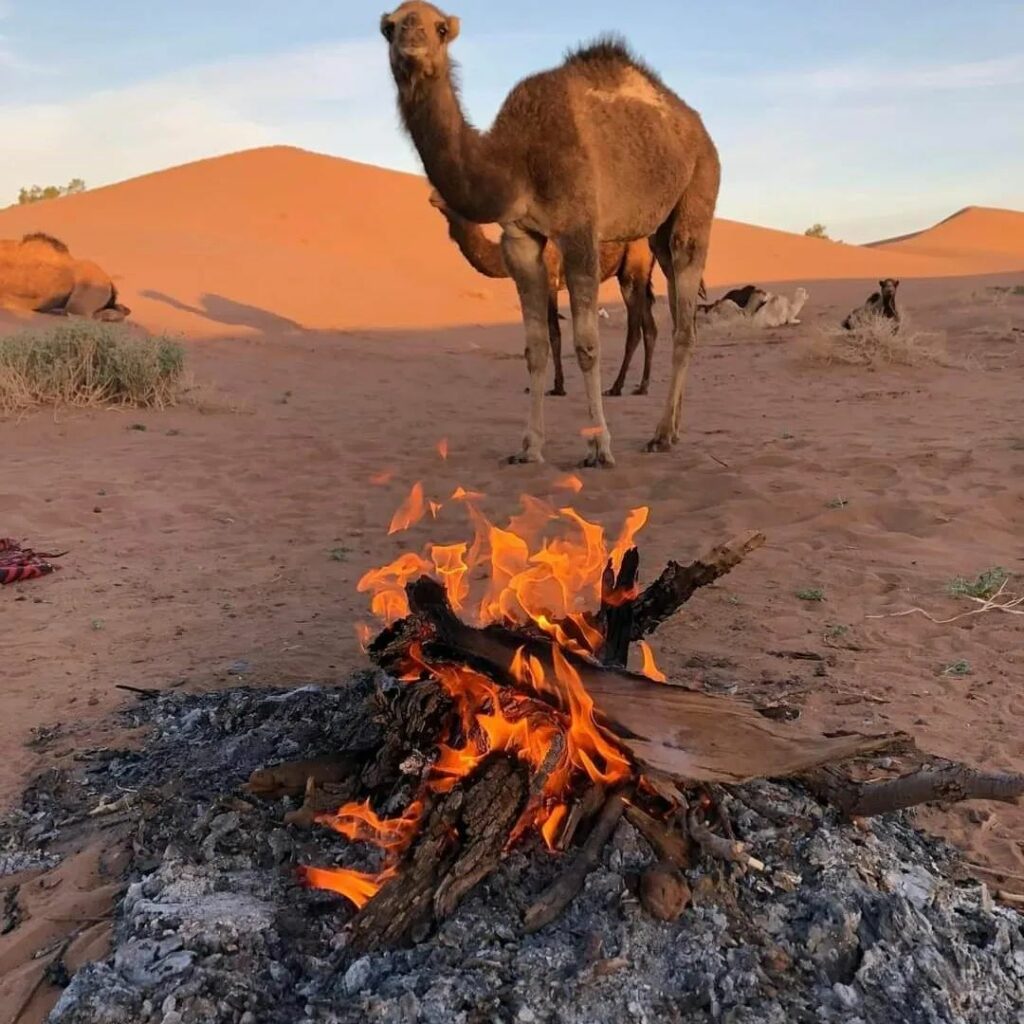 Séjour initiatique et chamanique dans le désert au Maroc